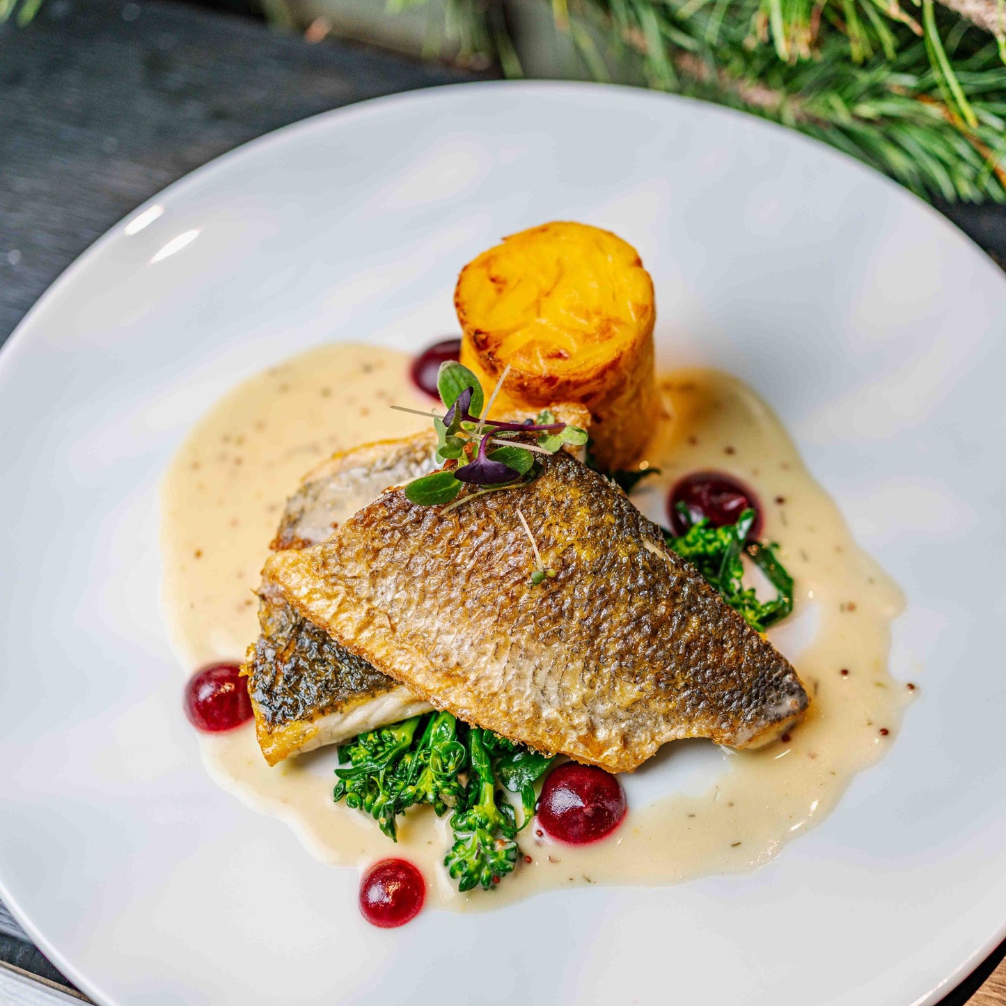 Knusprig gebratenes Wolfsbarschfilet mit Dijon-Senfsauce, Brokkoli, Kartoffelgratin und roten Beeren, angerichtet auf weißem Teller – Hauptgang des Frozen Wonders Dinners im Airbräu München.